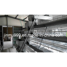 Jinfeng High Quality Automatic Layer Chicken Cage System for Sell